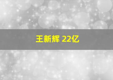 王新辉 22亿